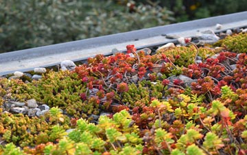 the cost of East Ardsley green roof installation