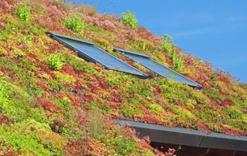 East Ardsley living roof systems